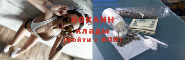 ПСИЛОЦИБИНОВЫЕ ГРИБЫ Аркадак