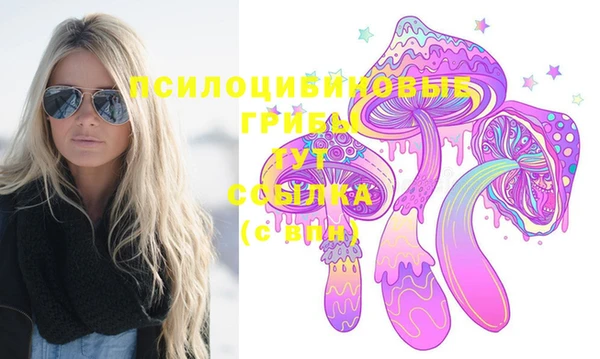 молекула духа Армянск