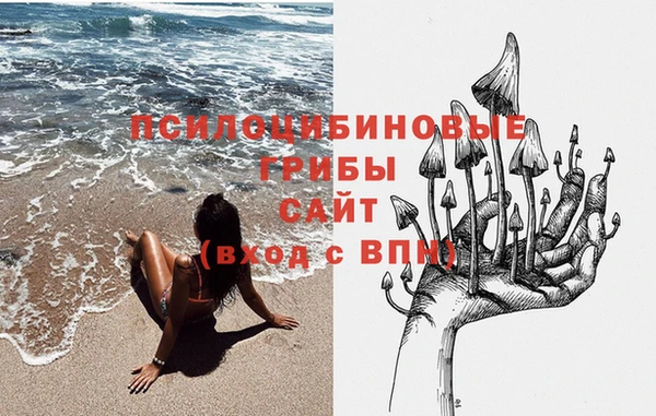 молекула духа Армянск
