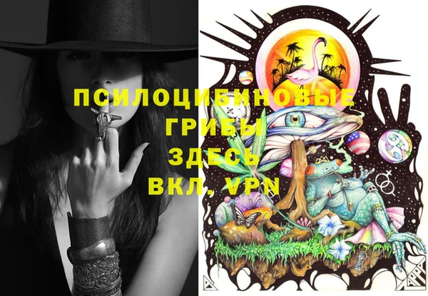 прущие крисы Семикаракорск